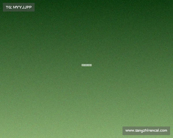 承办赛事的请示